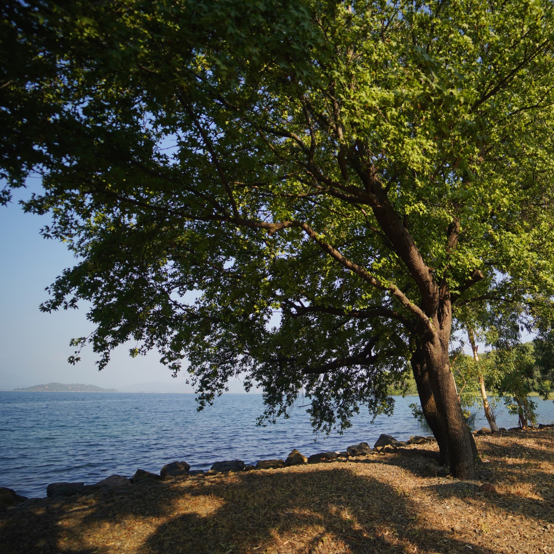 Kıyıda Camping gölgelik göl kıyısı